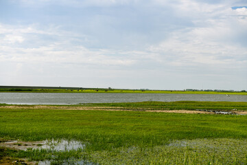 Wetland scenery along the Nenjiang River