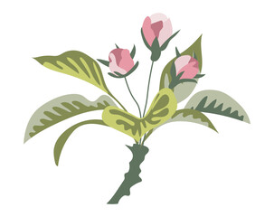 Abstract flower buds on branch in flat design. Beautiful pink rose bouquet. Vector illustration isolated.