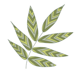 Tropical leaf with stripes pattern in flat design. Green leaflet on twig. Vector illustration isolated.