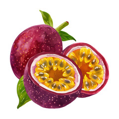 passion fruit watercolor digital painting good quality