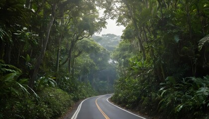 A narrow road winding through a vibrant tropical f upscaled 22