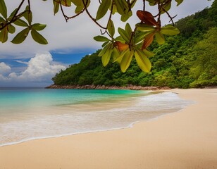 View of nice tropical beach with white sand