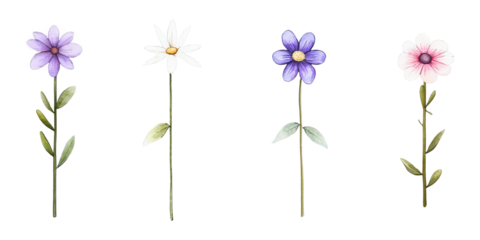 Set of floral watercolor elements. Wedding concept - flowers. Floral poster, invitation Isolated on Transparent Background PNG Generative AI