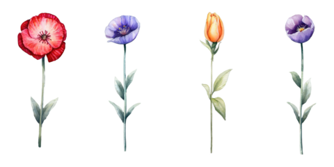 Set of floral watercolor elements. Wedding concept - flowers. Floral poster, invitation Isolated on Transparent Background PNG Generative AI