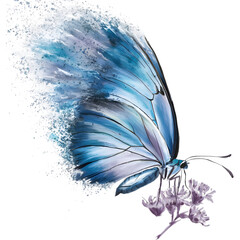 Half Dissipated Butterfly Sublimation Clipart

