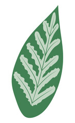 Tropical leaf with veins in flat design. Greenery tree foliage closeup. Vector illustration isolated.