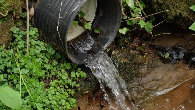 Industrial polluted waste water flowing from a black sewer pipe into a river in close up in slow motion. Global warming concept