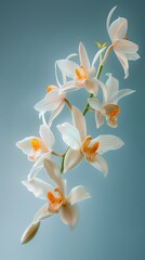 Photorealistic poster showcasing vanilla flowers in midair, vividly detailed against significant negative space to focus on their unique orchid form