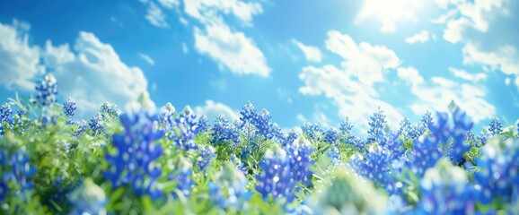 Marvel The Breathtaking Sight Texas