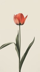 Minimalist design poster featuring a single tulip suspended in midair, with expansive negative space emphasizing its elegant form