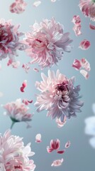 Elegant design poster with Chrysanthemum flowers levitating, surrounded by negative space that enhances the flowers symbolism of joy and beauty