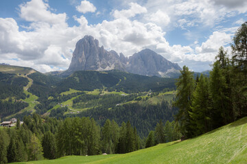 wide view on Sasso Lungo group from an alpine pasture in Dolomites