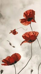 Creative visualization poster with poppies defying gravity, set against a clean, stark background for a dramatic visual impact