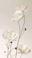 Creative visualization poster with annual flowers defying gravity, set against a clean, stark background for a striking visual impact