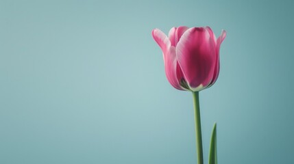 Creative visualization poster with a tulip defying gravity, set against a clean, stark background for a dramatic visual impact