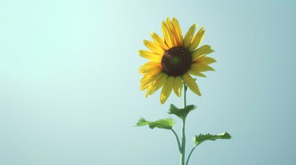 Fototapeta premium Creative visualization poster with a sunflower defying gravity, set against a clean, stark background for a dramatic visual impact