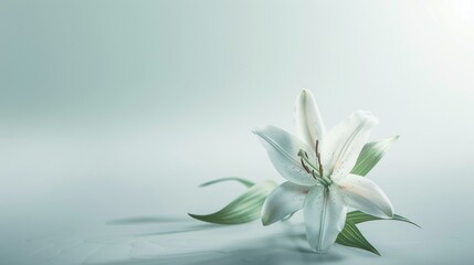 Fototapeta premium Conceptual art poster depicting a lily levitating in a precise arrangement, with a crisp, uncluttered background emphasizing tranquility and purity
