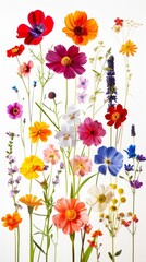 Obraz premium Artistic poster of assorted annual flowers levitating, arranged against a stark background to emphasize their vibrant colors and diverse forms