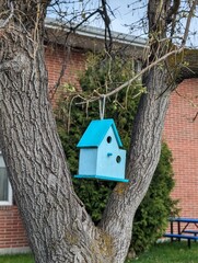 Bird house