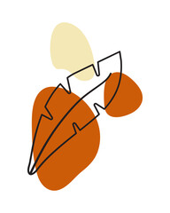 Organic Shape Illustration