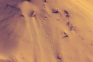 footprint in sand