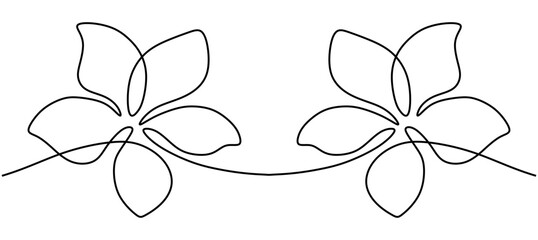 Line drawing of Plumeria flower. Frangipani blossom with petals for floral tattoo in simple linear style. Plant pattern for wedding in Editable stroke. Outline vector illustration
