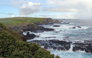 Coastal landscape with rugged cliffs, ocean waves and green vegetation at The Nobbies on Phillip...