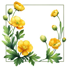 Buttercup Flower frame isolated transparent Background.AI Generate