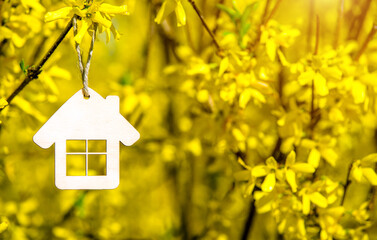 The symbol of the house among the branches of the Forsythia
