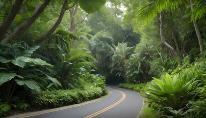 A winding road bordered by thick foliage and exoti upscaled 6