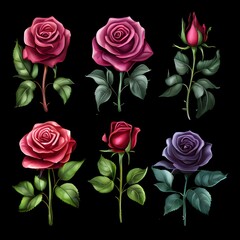 Pattern of roses, Rose set color set red rose pink rose purple rose blue rose green rose yellow rose