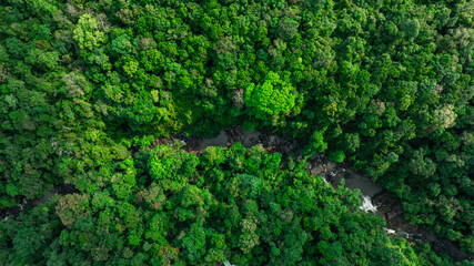 Aerial view of mixed forest, deciduous trees, greenery and waterfalls flowing through the forest....