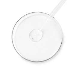 Glass pipette and petri dish with liquid on white background, top view