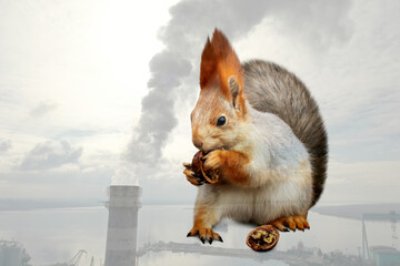 Double exposure of industrial chimney with smoke and squirrel. Environmental pollution