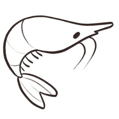 Ocean sea animal coral cartoon