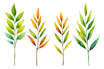 Willow tree leaf stems watercolor illustration, set of 4 leaf branches clipart isolated, nature botanical