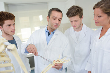 Obraz premium Medical students looking at skeleton