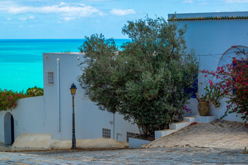 Villa avec vue sur mer dans le village de Sidi Bou Saïd