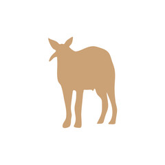 Goat farm animal 