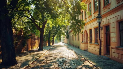 A long green shady street in the old beautiful European city of Prague on a sunny day