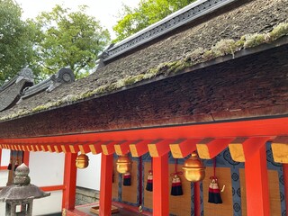 asia japan wood roof temple shrine