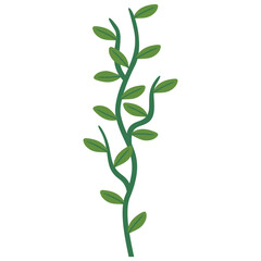 Fototapeta premium Vines Illustration Vector