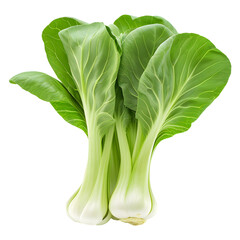 Fresh bok choy isolated on transparent background
