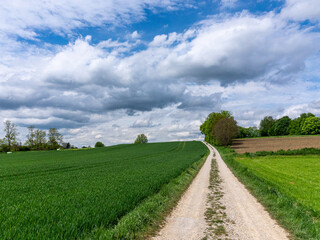 An idyllic view of a road winding through green fields in Altomünster, Bavaria, with an impressive...