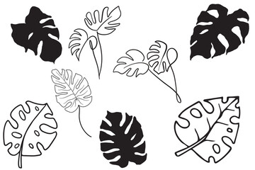 Monstera Leaf PNG for Tropical Themed Designs