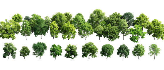 Fototapeta premium Green trees isolated PNG transparent background