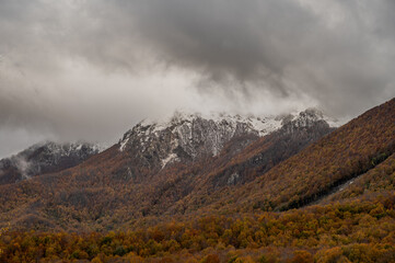 Molise, Mainarde. Autumn landscape. Foliage