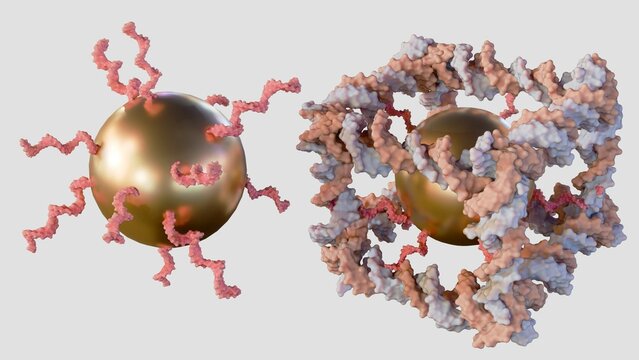 3d rendering of gold nanoparticles conjugated inside of the construction from DNA of a covalently closed cube-like molecular complex 