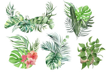 High-Resolution Monstera Leaf Clip Art for Professionals