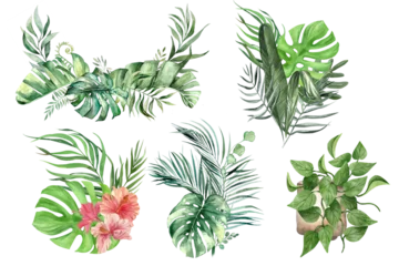 Canvas schilderij Jungle High-Resolution Monstera Leaf Clip Art for Professionals  © Krishan